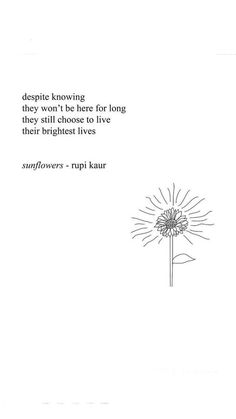 a drawing of a dandelion with a quote from the book despice