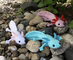 crochet stuffed animals Crochet Toothless, Crochet Dinosaur Pattern Free, Crochet Axolotl, Animals Pattern