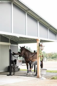 a brown horse standing on top of a wooden pole next to a white building with windows