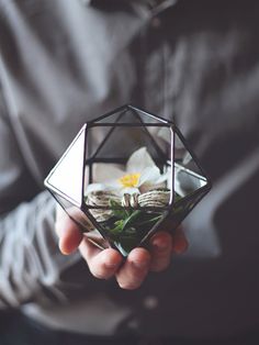 a man is holding a glass cube with flowers in it and he is wearing a black shirt