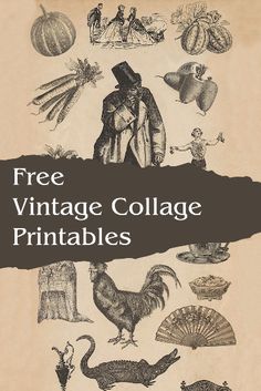 an old book with pictures of animals and other things on the cover that reads free vintage collage printables