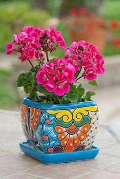 some pink flowers are in a colorful pot