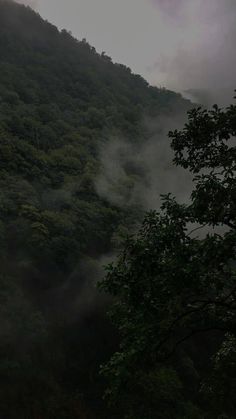 the sun shines through the foggy mountainside as it rises above the trees