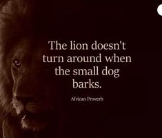 the lion doesn't turn around when the small dog barks - african prove