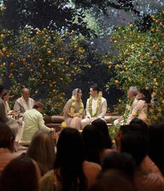 a group of people sitting around each other in front of an orange tree filled with flowers