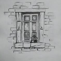 a pencil drawing of a window with flowers in the pot next to it on a brick wall