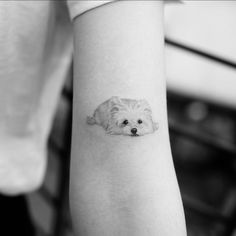 a small white dog on the left arm with a black and white photo behind it