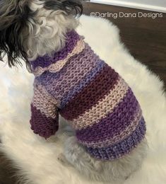 a small dog wearing a purple and white sweater