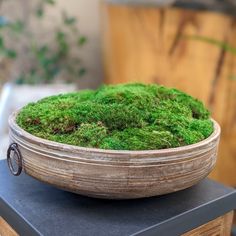 Moss Bowl, Plant Jungle, Creative Planter, Table Counter, Stone Vase, Centerpiece Bowl, Green Living, Plant Care, Accent Pieces