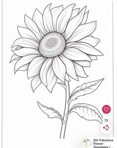 a drawing of a sunflower with the words 25 fabulous flower drawings for beginners