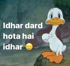 a cartoon duck with the caption idhar dard hota hai idhar