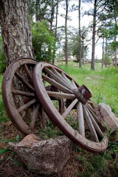 an old wagon wheel leaning against a tree