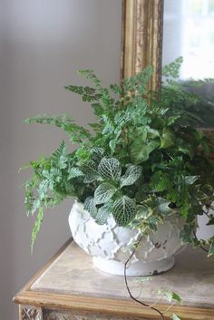 a potted plant sitting on top of a wooden table next to a framed mirror