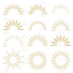 gold sunbursts on white background