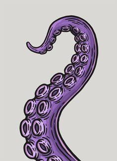 an illustration of the letter s in purple