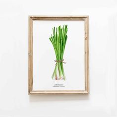 a painting of green onions in a wooden frame hanging on a wall above a white wall