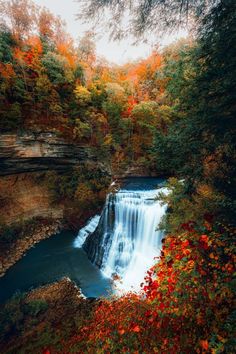 a waterfall surrounded by fall foliage and trees