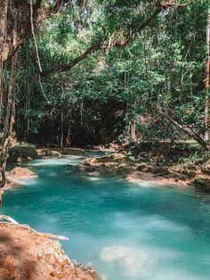 a river in the woods with blue water