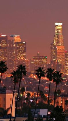 the city skyline is lit up at night, with palm trees in front of it