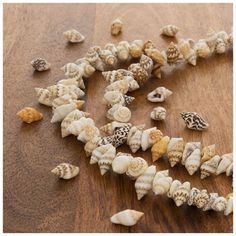 sea shells scattered on a wooden surface with the word seashells written in it