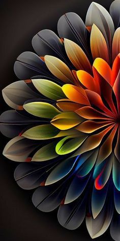 an image of a colorful flower on a black background