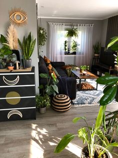 a living room filled with lots of plants and furniture