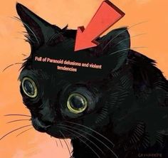 a black cat with a red arrow on its head that says fall of paranoid deliminations and violent tenness