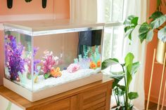 a fish tank filled with water next to a plant and potted plant on top of a wooden table