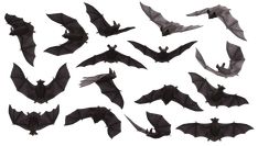 a bunch of bats flying in the air with their wings spread out and facing different directions