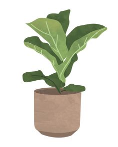 a potted plant with green leaves is shown on a white background and has a brown base