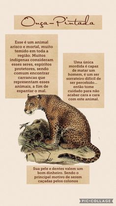 a poster with an image of a cheetah on it