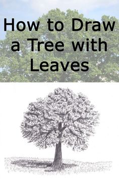 how to draw a tree with leaves