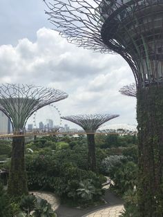 the gardens by the bay in singapore are full of beautiful trees and plants that look like they've been cut open for people to see