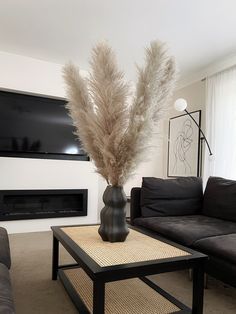 a living room filled with furniture and a tall plant on top of a coffee table