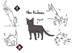 some drawings of cats and their names