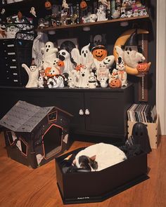 a cat sleeping in a box on the floor next to halloween decorations and figurines