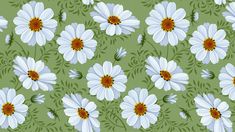 white daisies and green leaves on a light green background fabric by glimmerics on spoonflower - custom fabric