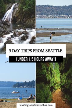 Discover the best Seattle day trips, from visiting Bainbridge Island to exploring Snoqualmie Falls. These quick getaways are perfect for a day of adventure! Check out my post for more info!
things to do in Washington | things to do in Seattle | Seattle bucketlist | travel Seattle | Seattle guide | travel guide to Washington | Seattle Trips | day trips from Seattle Seattle Islands, Washington Leavenworth, Washington Things To Do, Pnw Adventures, Day Trips From Seattle, Washington Road Trip, Seattle Travel Guide, Mt Rainer, Washington Trip