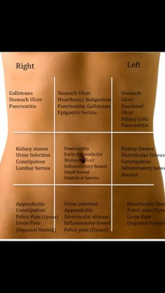 the back of a woman's stomach with eight different signs on it