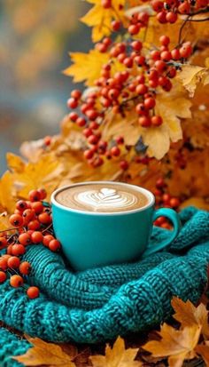 a cup of coffee sitting on top of a blue blanket next to leaves and berries