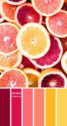 a bunch of oranges and grapefruits are shown in this color scheme