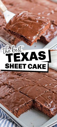 piece of chocolate sheet cake, lower photo sheet cake in sheet cake pan with slice cut out Taste Of Home Texas Sheet Cake, Ree Drummond Texas Sheet Cake, Texas Sheet Cake Box Recipe, Texas Sheet Cake Small Batch, Texas Sheet Cake In 9x13 Pan, Texas Sheet Cake Easy, Simple Texas Sheet Cake, Texas Sheet Pan Cookies, Chocolate Cookie Sheet Cake