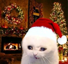 a white cat wearing a santa hat in front of a fireplace with christmas decorations on it