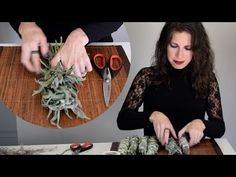 a woman cutting up succulents with scissors