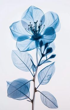 Phone Decoration, Watercolor Tutorials, Leaf Designs, Watch Faces, Beautiful Blooms, Leaf Design, Garden Inspiration, Beautiful Blue