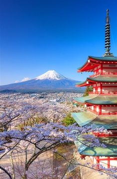 the pagodas are surrounded by blooming trees and mountain in the background with snow - capped peaks