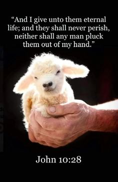 a person holding a small lamb in their hand with a bible verse above it that says, and i give unto them external life and they shall never perish