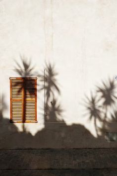 the shadow of two palm trees cast on a white wall with shutters and windows