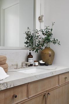 a bathroom with marble counter tops and wooden cabinets, an olive tree in a vase next to the sink