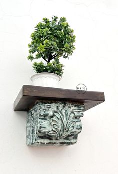 a potted plant sitting on top of a wooden shelf next to a white wall